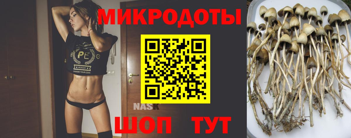 Галлюциногенные грибы Psilocybe  Вход с VPN  Галлюциногенные грибы Psilocybine cubensis  Шали 